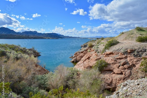 Cattail Cove State Park Arizona Lake Havasu City Colorado River Desert Water photo