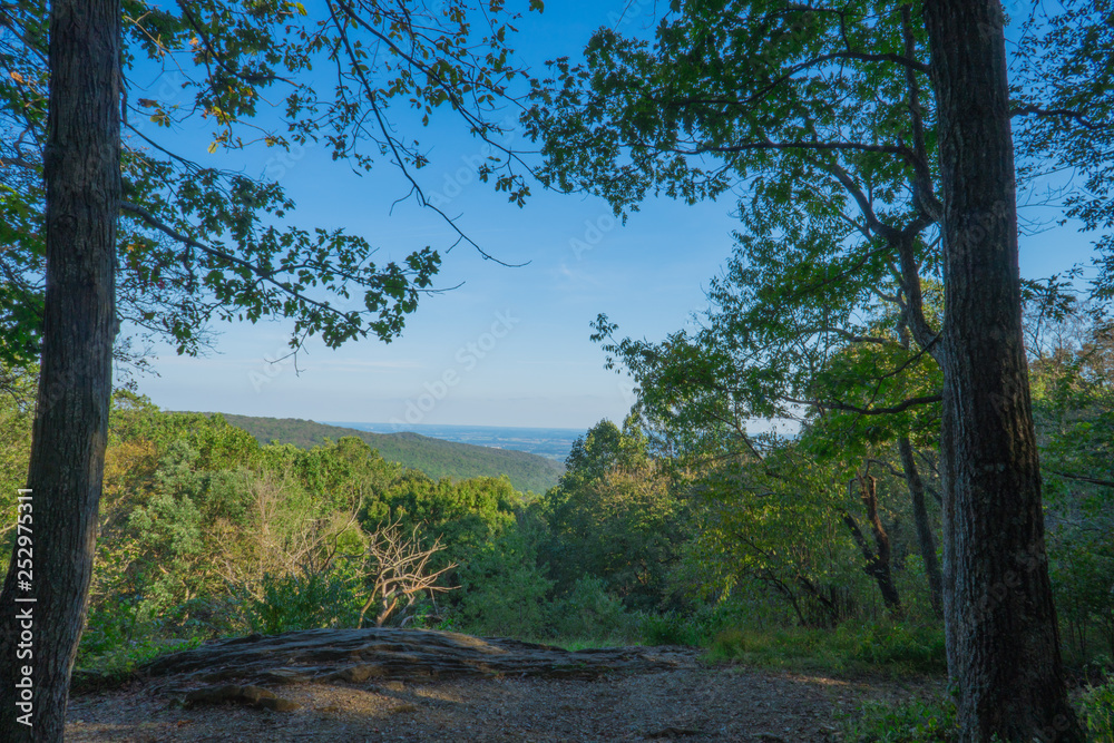 Fototapeta premium Widok na park stanowy