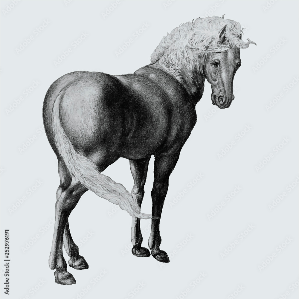 Fototapeta premium Horse in vintage style