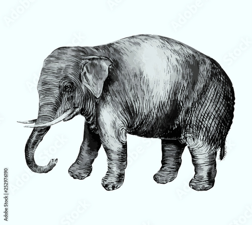 Elephant in vintage style © Rawpixel.com