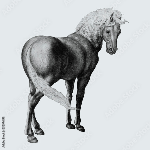 Horse in vintage style