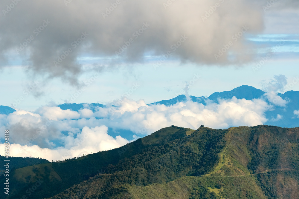 Cloud Forest in the Maquipucuna Biological Reserve, Ecuador