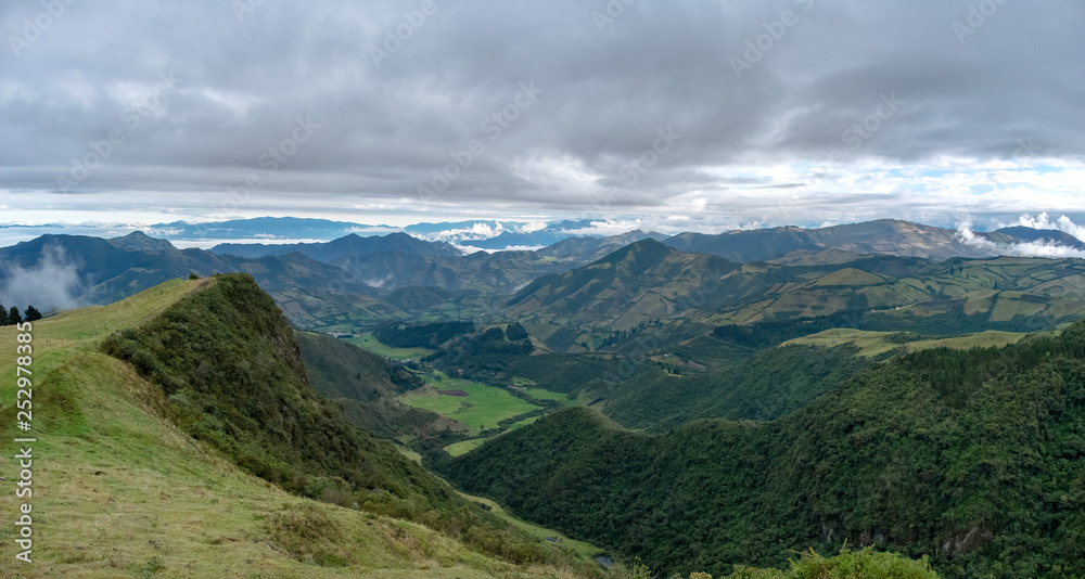 Fototapeta premium Cloud Forest in the Maquipucuna Biological Reserve, Ecuador