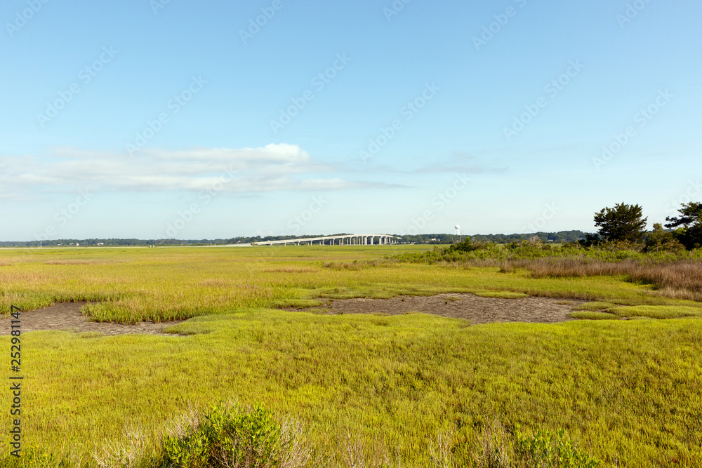 Field of green dune grass along with North Carolina coastline, with a tidal pools at low tide in foreground and a bridge in the background