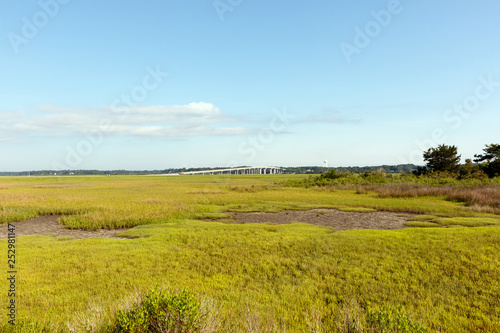 Field of green dune grass along with North Carolina coastline, with a tidal pools at low tide in foreground and a bridge in the background