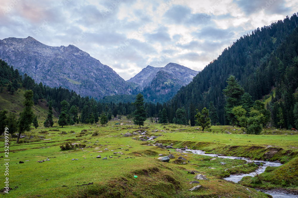 A landscape of Himalayas in Kashmir with a meadow in the foreground and a small stream flowing through the meadow