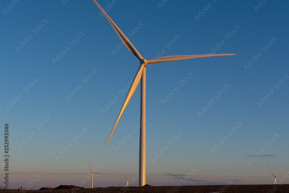 Fototapeta premium Windmill at sunset
