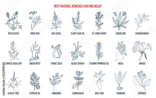 Herbal Remedies for PMS