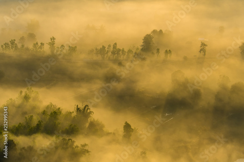 Fototapeta Naklejka Na Ścianę i Meble -  City in the mist 36