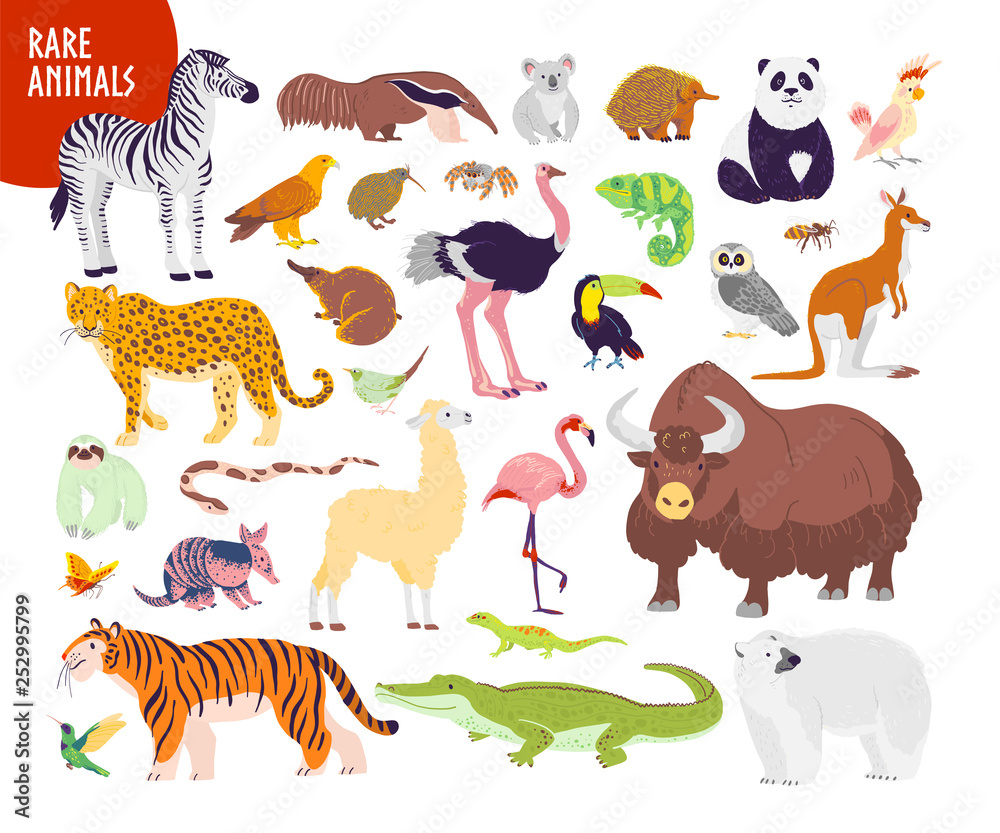 Vector collection of flat hand drawn rare wild animals isolated on ...