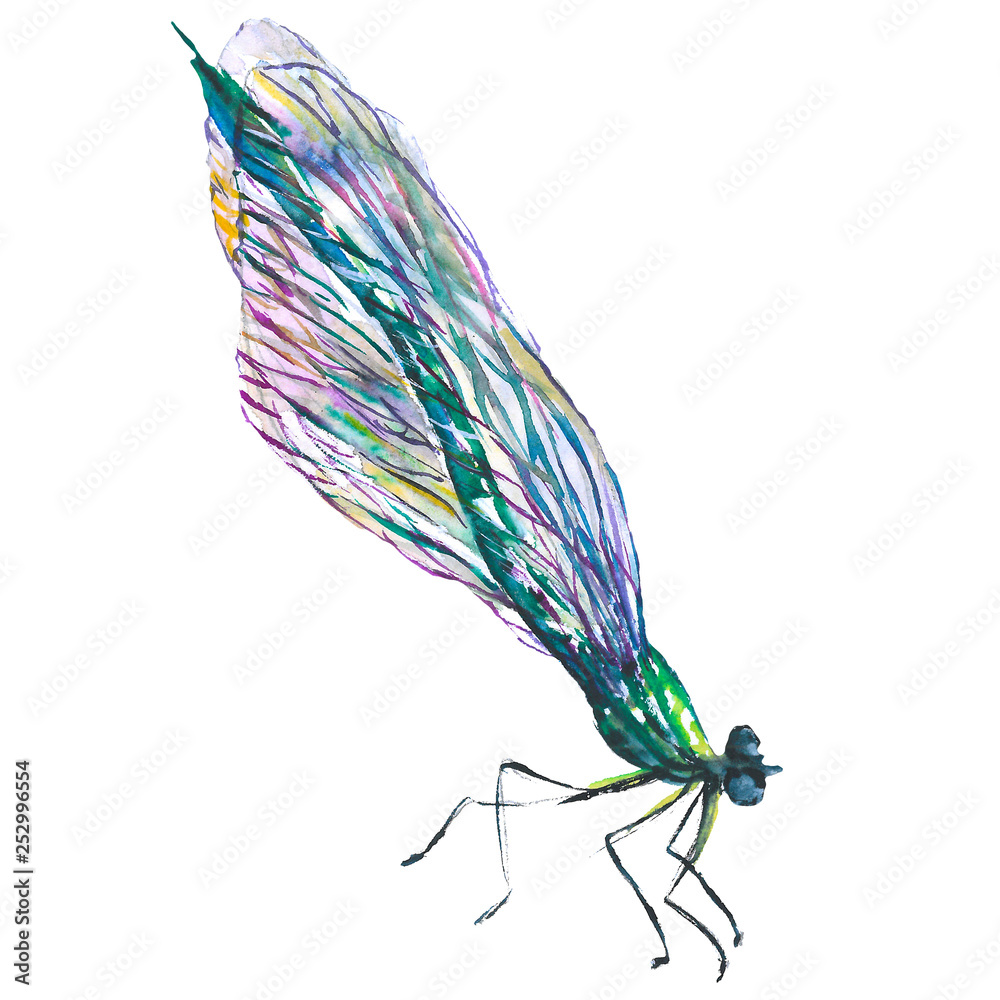 Obraz premium Exotic dragonfly wild insect in a watercolor style isolated. Aquarelle wild insect for background.