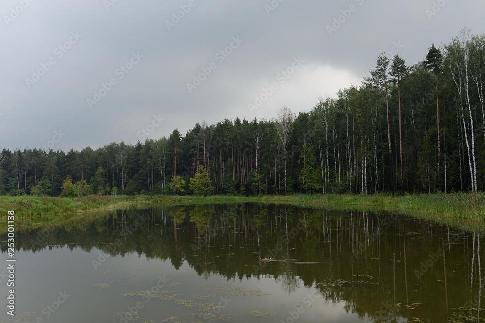 Obraz premium The Meshchersky pond in Park of Moscow