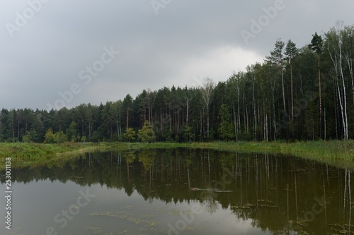 The Meshchersky pond in Park of Moscow
