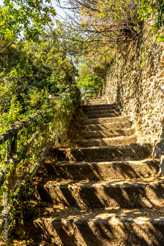 Italy  Cinque Terre  Manarola  SUNLIGHT FALLING ON STAIRCASE IN FOREST