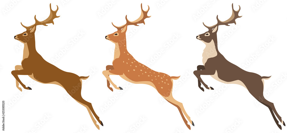 set of deer set of deer
