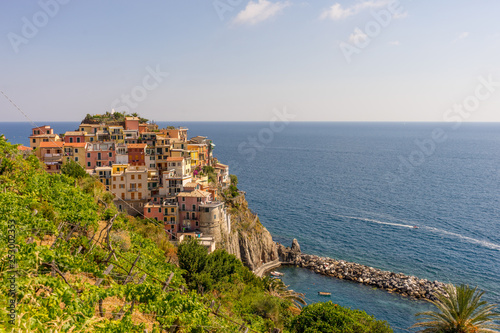 The cityscape of Manarola, Cinque Terre, Italy