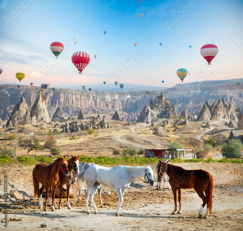 Hot air ballooning horses in Cappadocia, Turkey