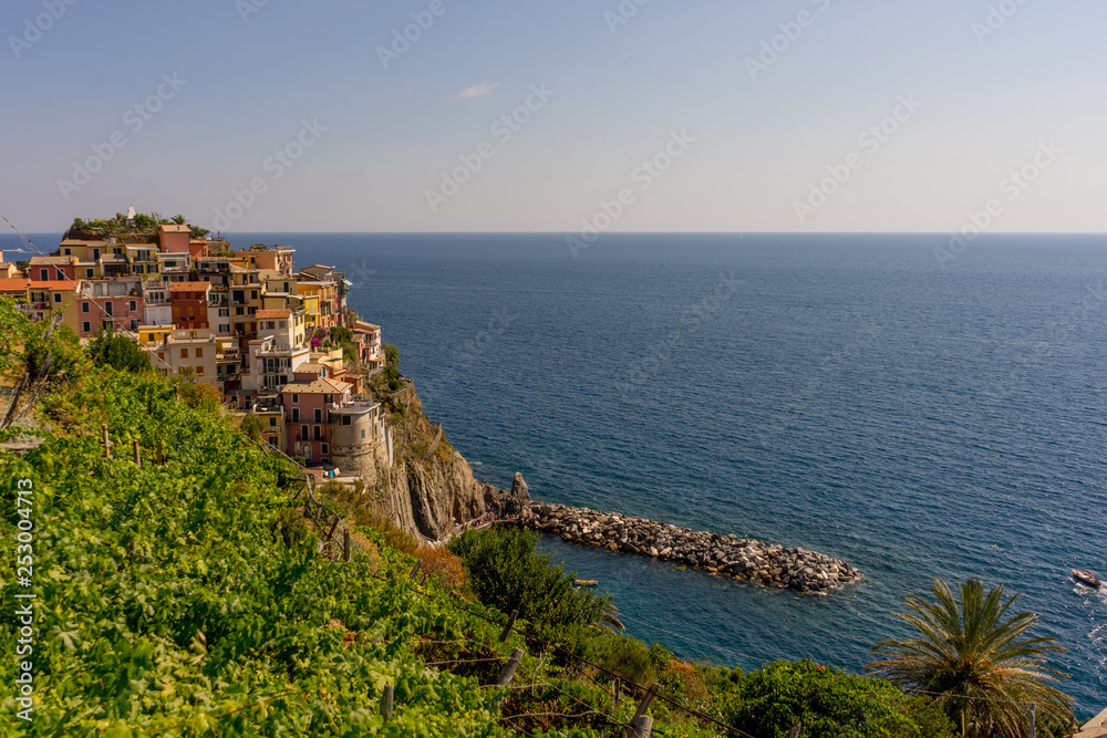 The cityscape of Manarola, Cinque Terre, Italy