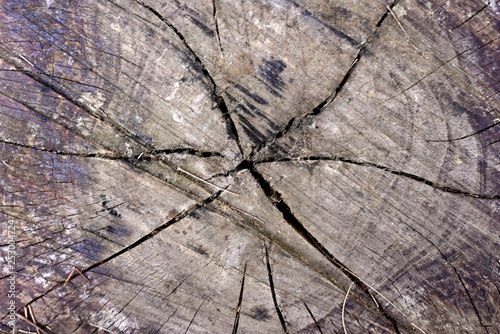 Rough wooden texture background