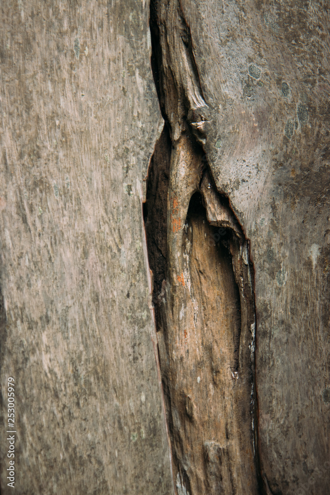 Old grunge dark textured wooden background,The surface of the old brown wood texture. Old grunge dark textured wooden background,The surface of the old brown wood texture.