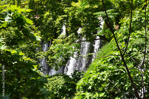 Obraz na płótnie Waterfall among greenery w salonie