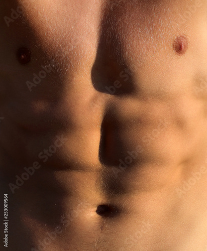 Torso man. Man with beautiful torso. Bodybuilder. Health  athletic caucasian  muscular. Diet.