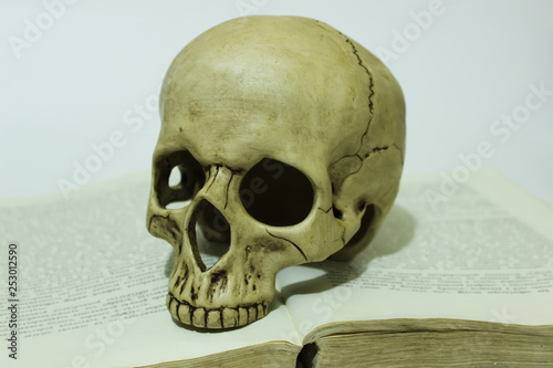 Human skull on open book on white background