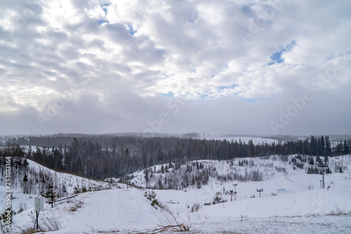 Snowy landscape with forest and clouds and blue sky