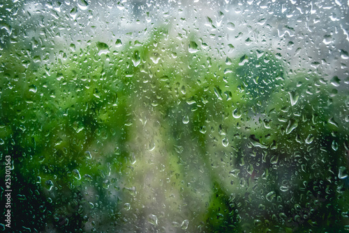 Rain drops on window and green tree in background