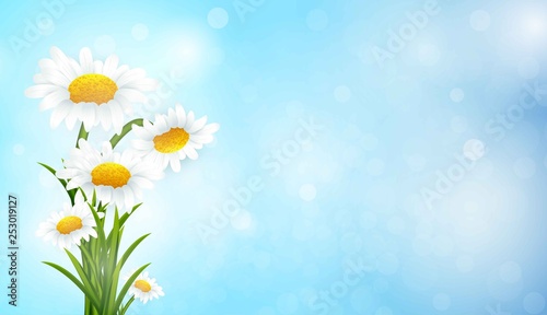 Spring banner with chamomiles flowers.Vector sale template banner. Clearance Banner, Poster, Flyer