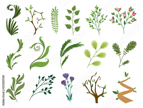 Vector designer elements set collection of green forest fern, tropical green eucalyptus greenery art foliage natural leaves herbs, rose, flowers in watercolor style. Illustration for design.