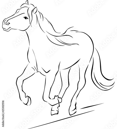 Horse Illustration Black Sketch Running - Vector