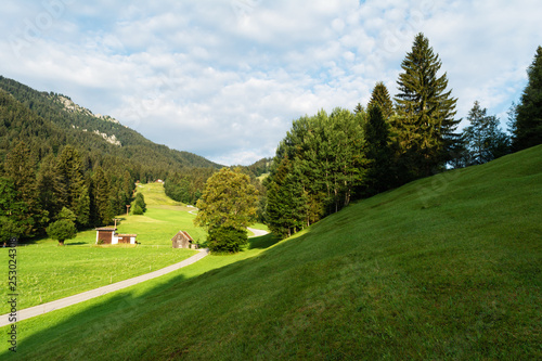 View of the well-groomed alpine meadows with outbuildings and the road stretching into the distance. © Chetgal 
