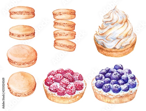 Set of watercolor cakes with cream, blueberry, raspberry and french macaroons. Beautiful sweet dessert on white background. Nice for card, postcard, cover, invitation, wedding, birthday, menu, recipe.