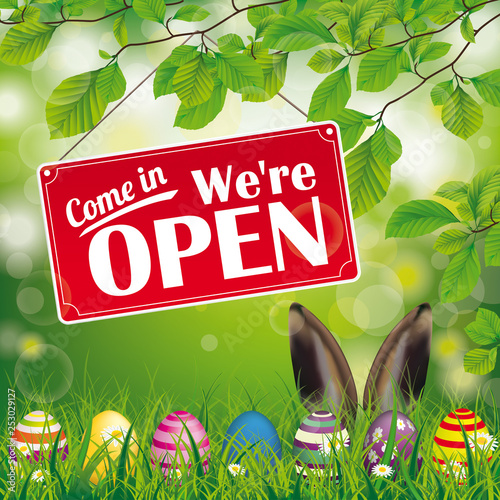 Easter Eggs Beech Twigs Hare Ears Open