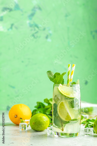 Mojito cocktail with lime and mint in highball glass