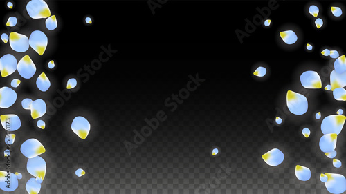 Vector Realistic Blue Petals Falling on Transparent Background.  Spring Romantic Flowers Illustration. Flying Petals. Sakura Spa Design. Blossom Confetti.