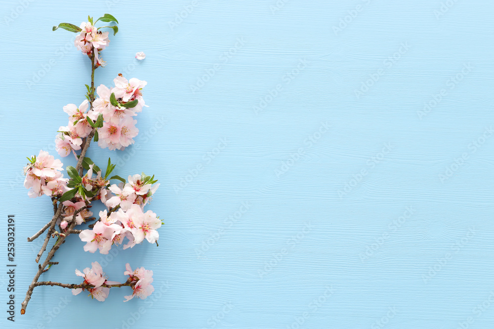 Fototapeta zdjęcie wiosny biały kwiat wiśni na pastelowym niebieskim tle drewnianych. Widok z góry, leżał płasko