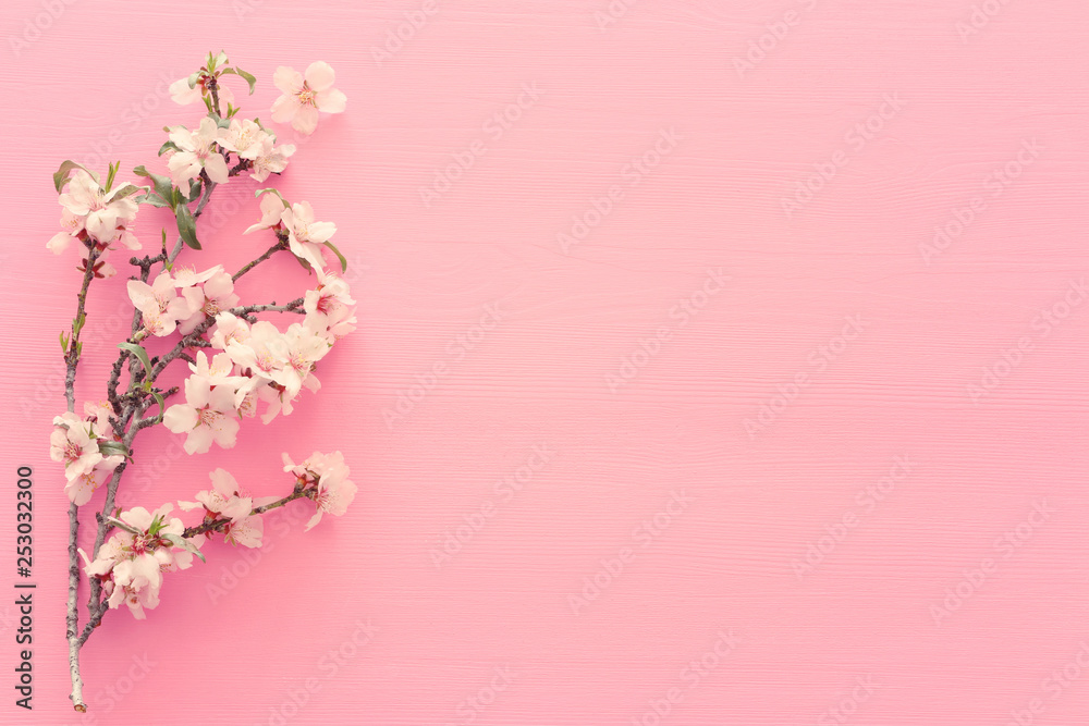 photo of spring white cherry blossom tree on pastel pink wooden background. View from above, flat lay