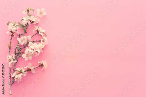 photo of spring white cherry blossom tree on pastel pink wooden background. View from above  flat lay