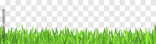 Spring grass border Vector illustration. Green grass pattern isolated on fake transparent background.