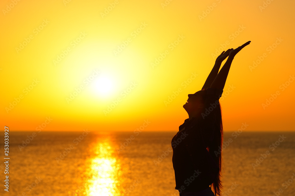 Happy woman profile raising arms at sunset on the beach