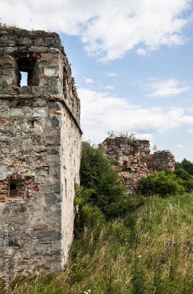 Ruins of the old castle in Ukraine