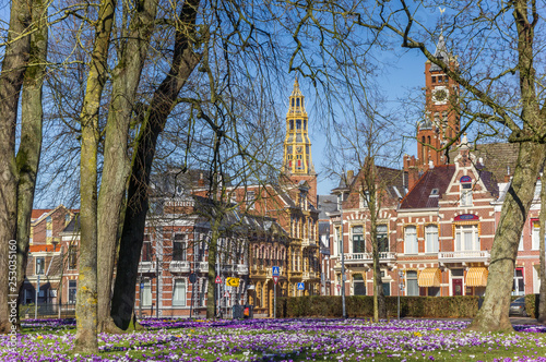 Church towers and crocuses in Groningen, Netherlands photo