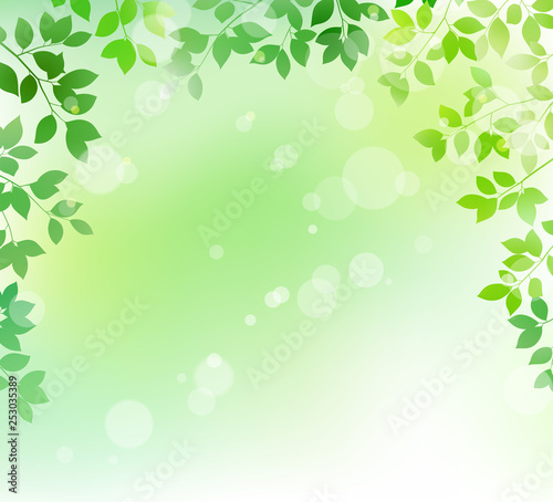 Green leaf and light background