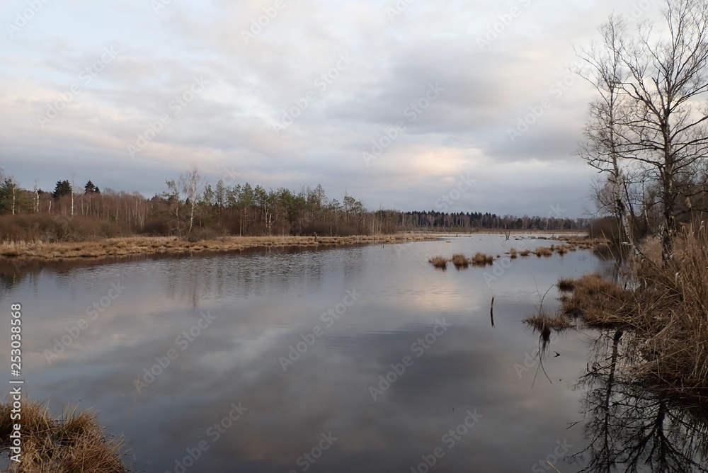 Schilf und See im Schwenninger Moos in Villingen-Schwenningen