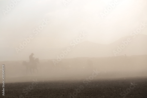 wild horses and cowboys.kayseri turkey