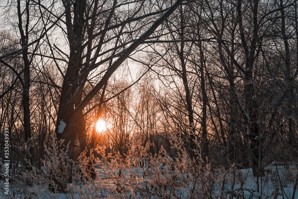 Fototapeta premium Winter sunset