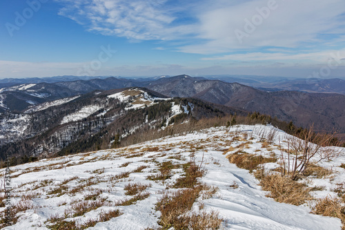 View of the Carpathian natural beech forest in the early spring from the top