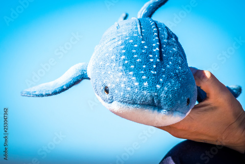 whale shark toy